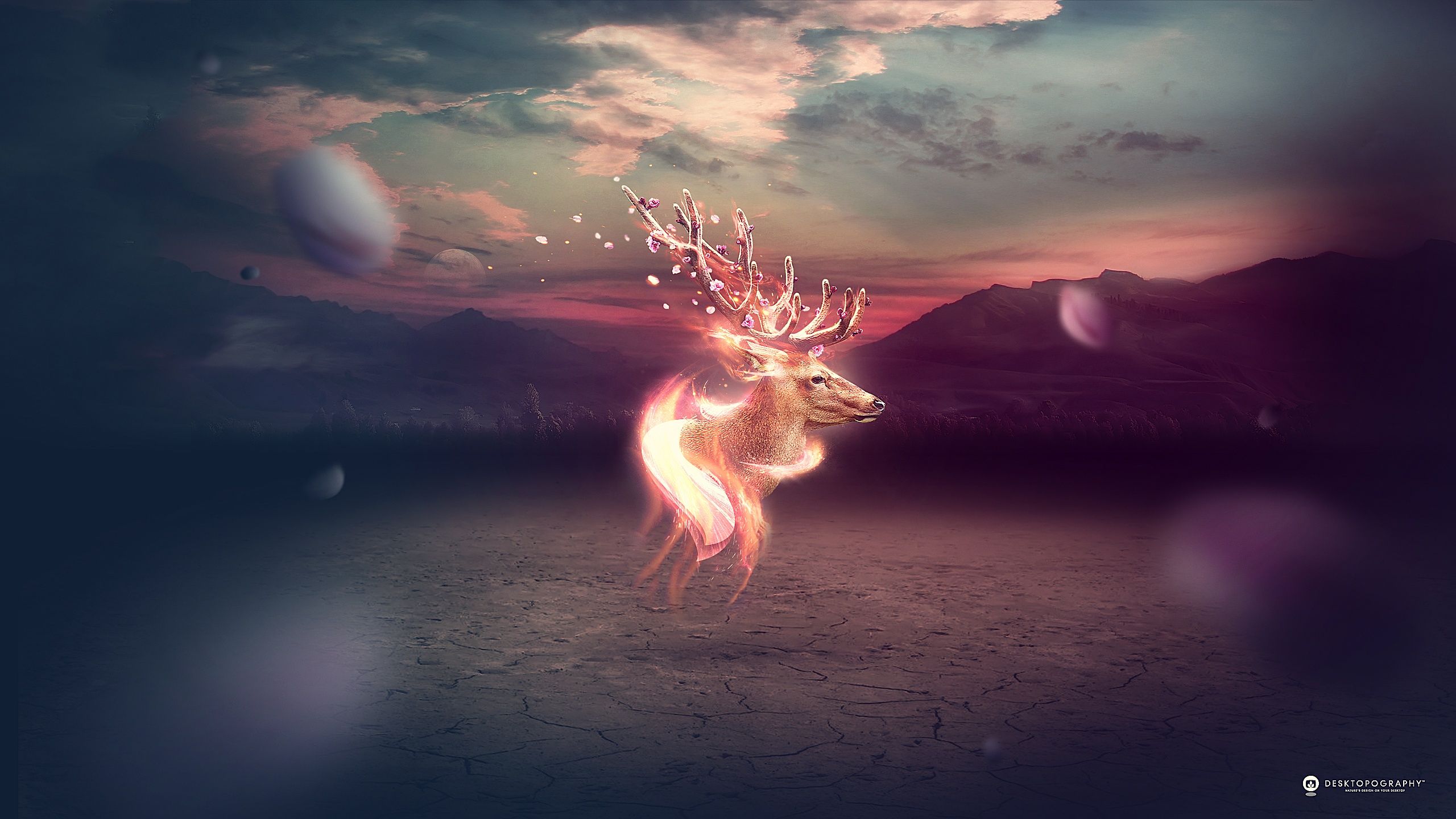 Fantasy Deer Wallpapers