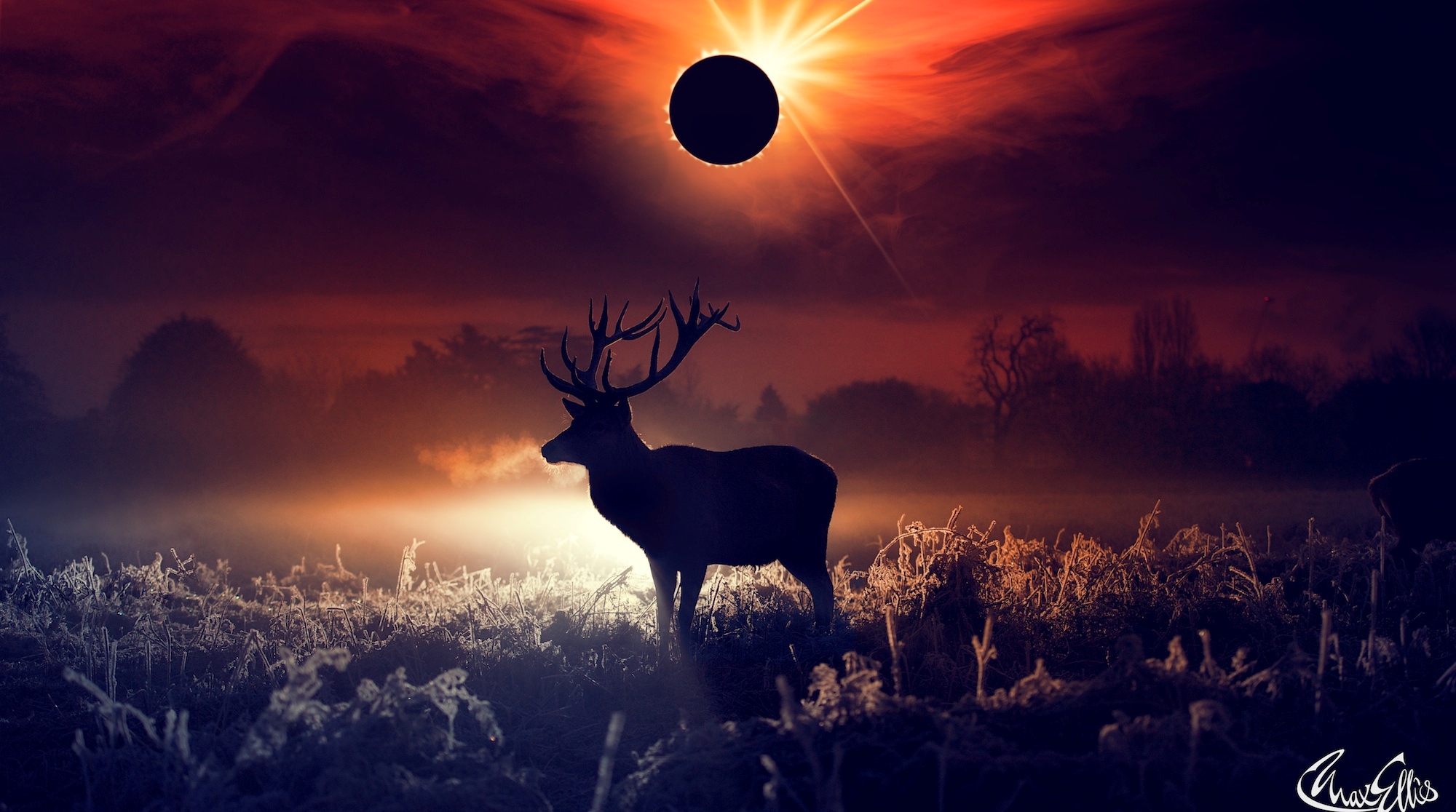 Fantasy Deer
 Wallpapers