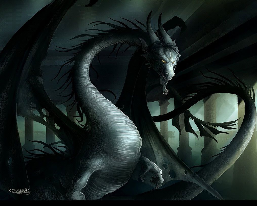 Fantasy Dragon Face Yellow Eyes
 Wallpapers