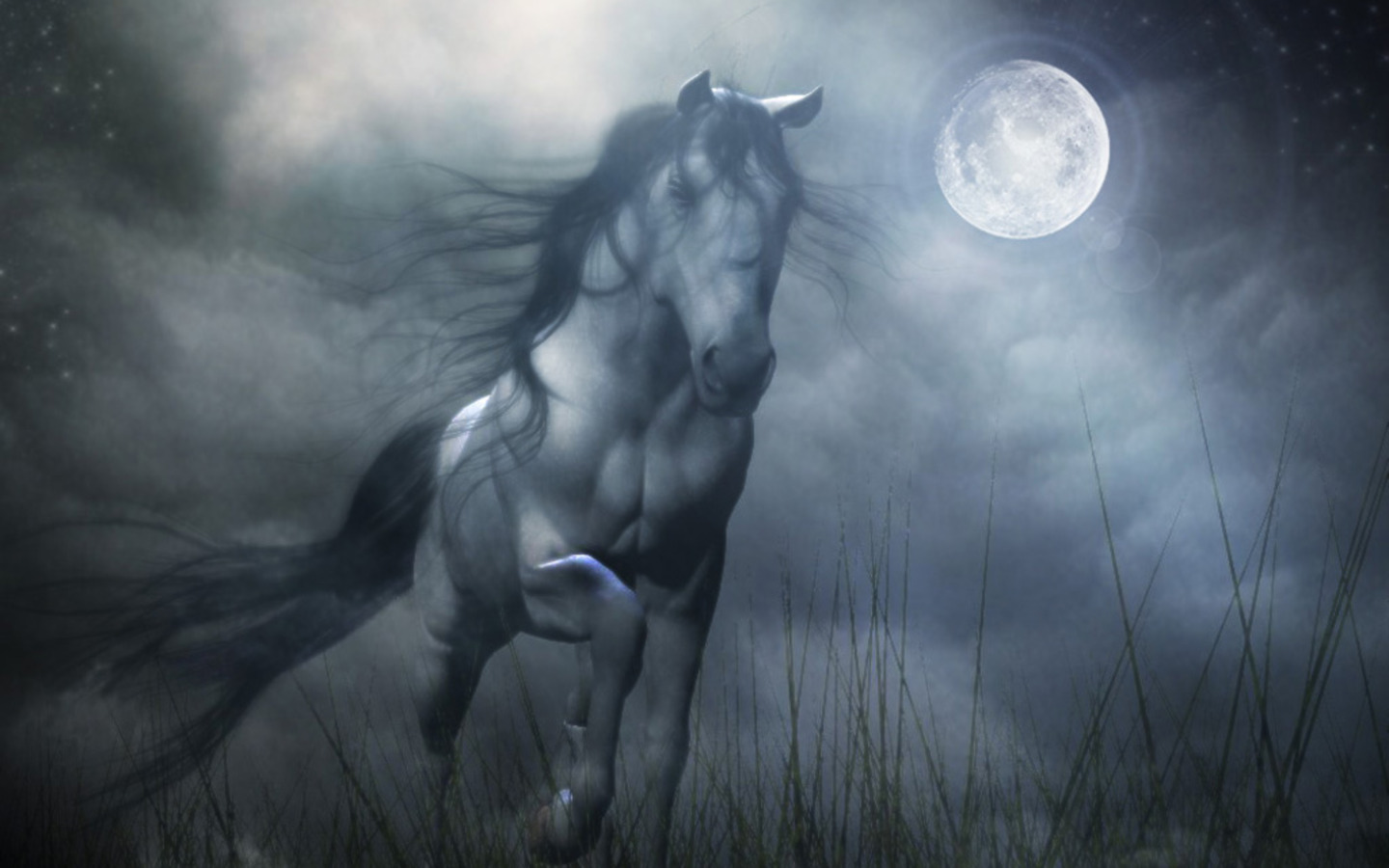 Fantasy Horse Wallpapers