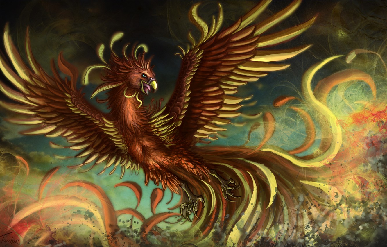 Fantasy Phoenix Wallpapers