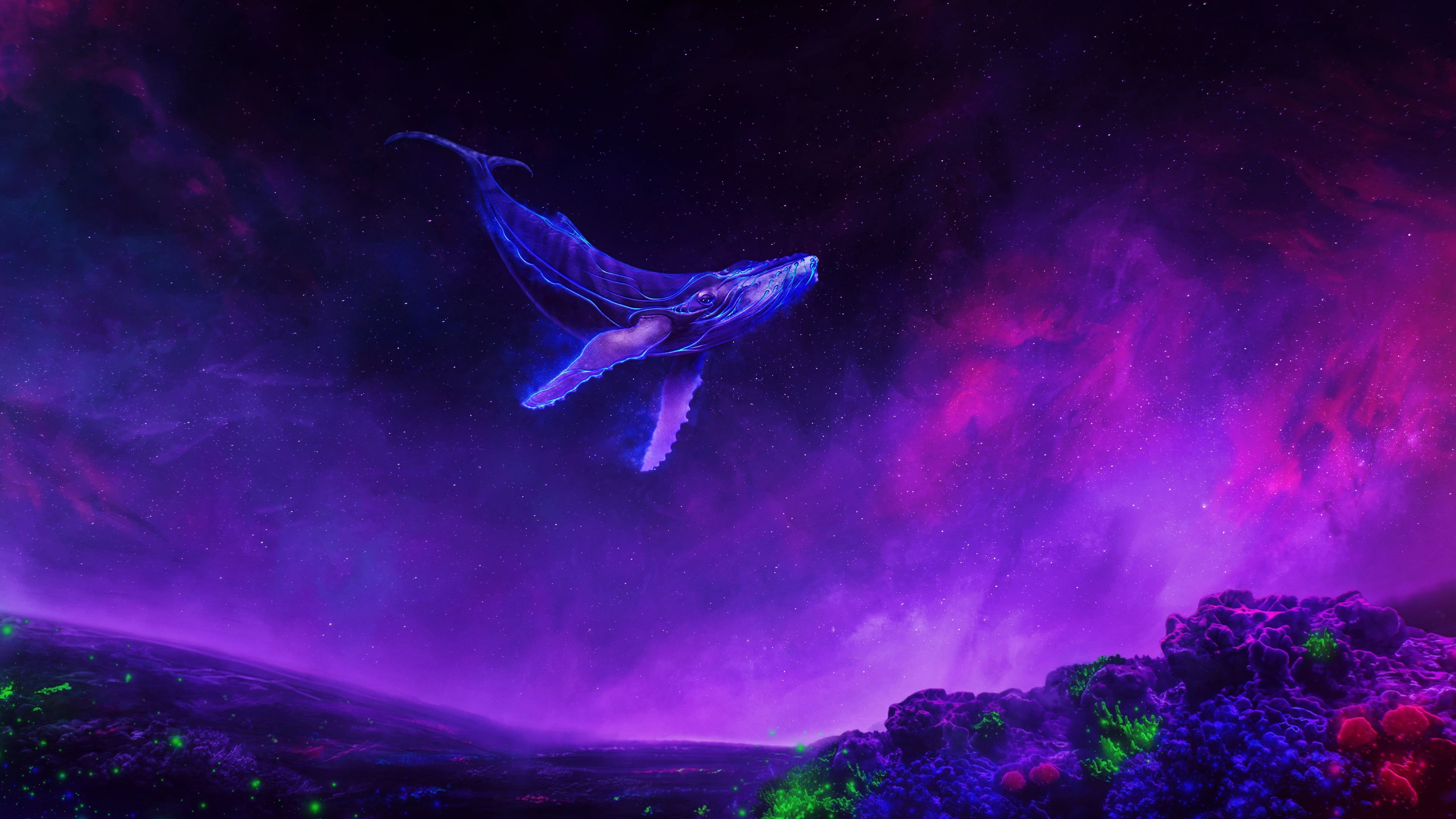Fantasy Whale Wallpapers