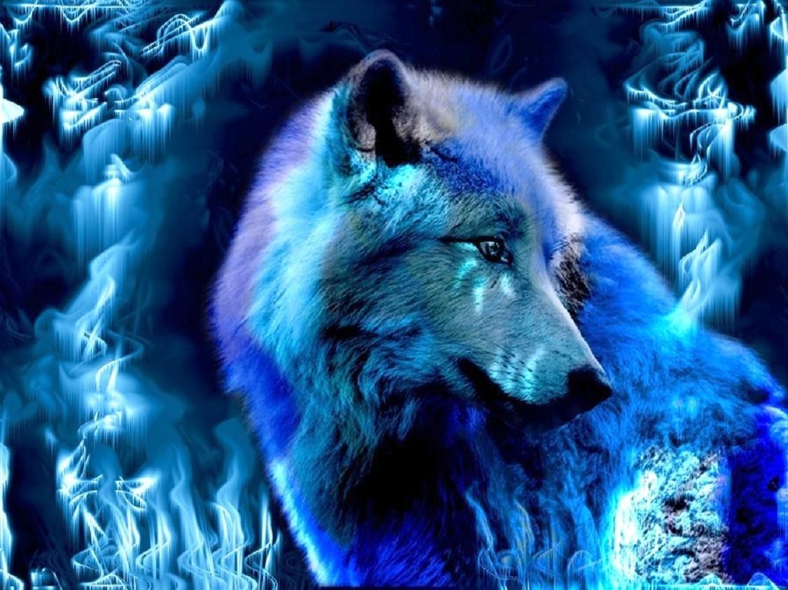 Fantasy Wolf Wallpapers