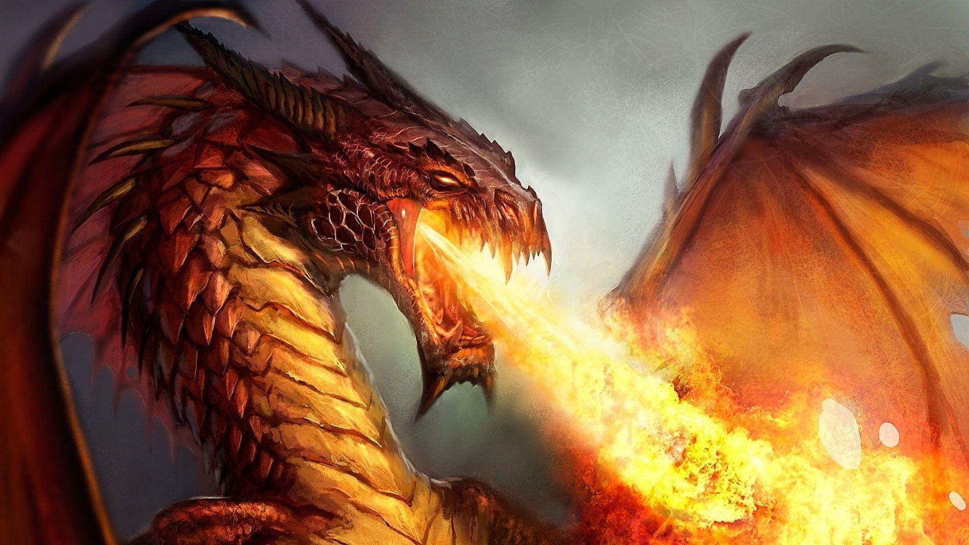 Firey Dragon
 Wallpapers