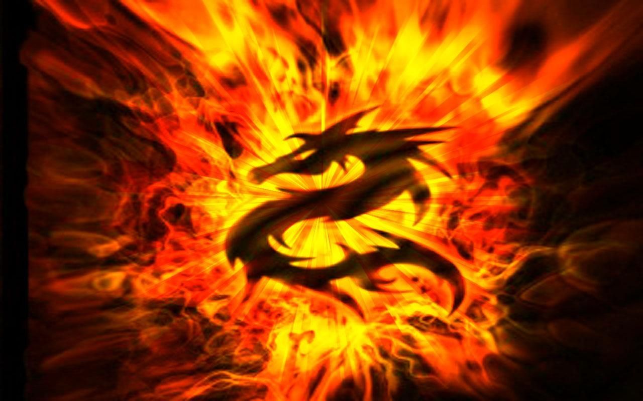 Firey Dragon
 Wallpapers