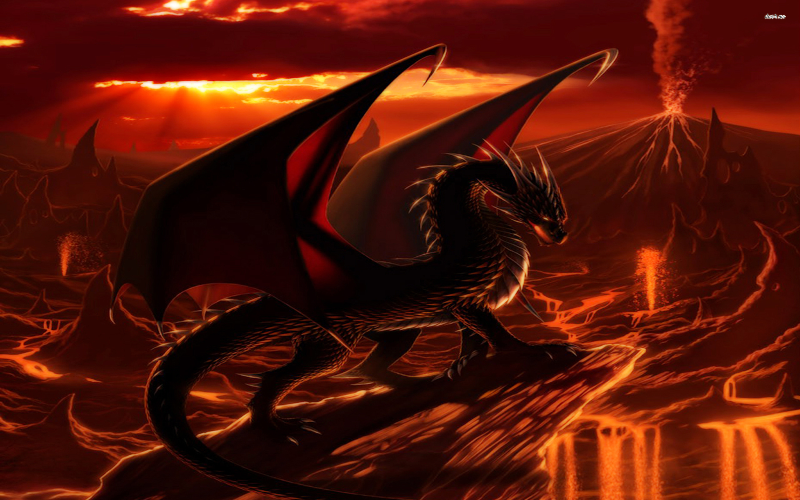 Firey Dragon
 Wallpapers