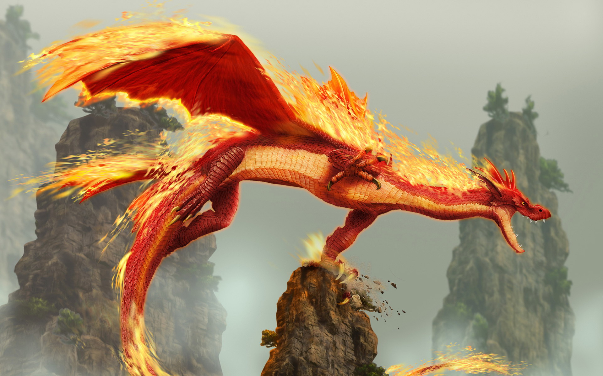 Firey Dragon
 Wallpapers