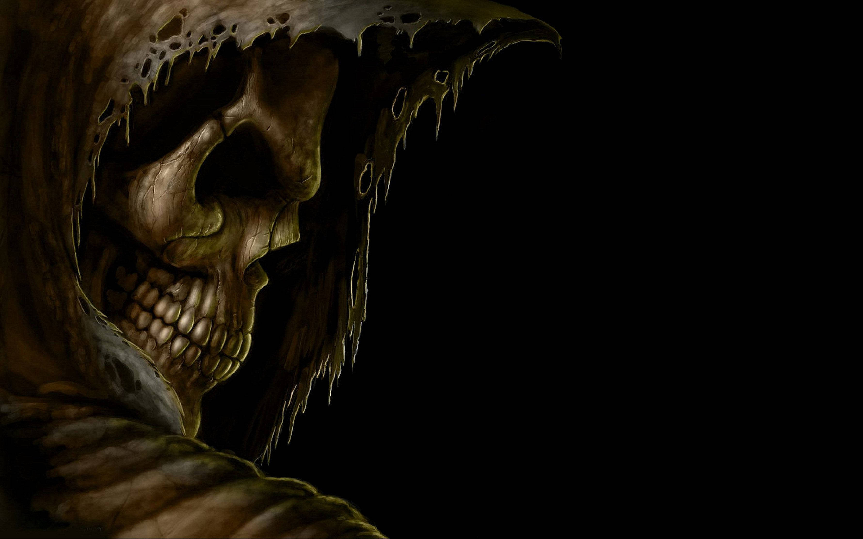 Grim Reaper Skeleton Face
 Wallpapers