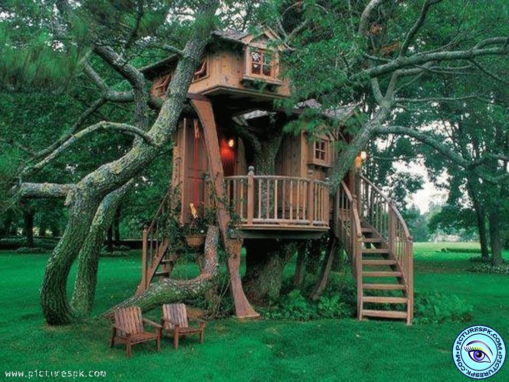 Kids Tree House
 Wallpapers