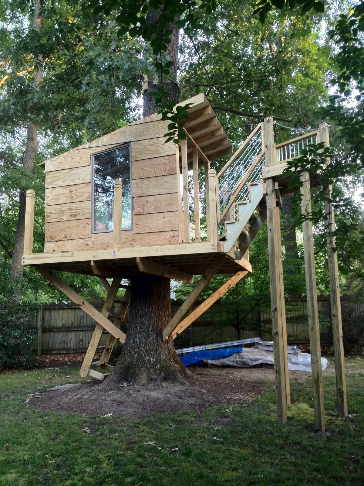 Kids Tree House
 Wallpapers