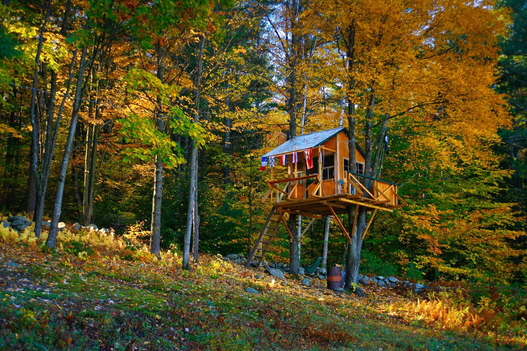 Kids Tree House
 Wallpapers