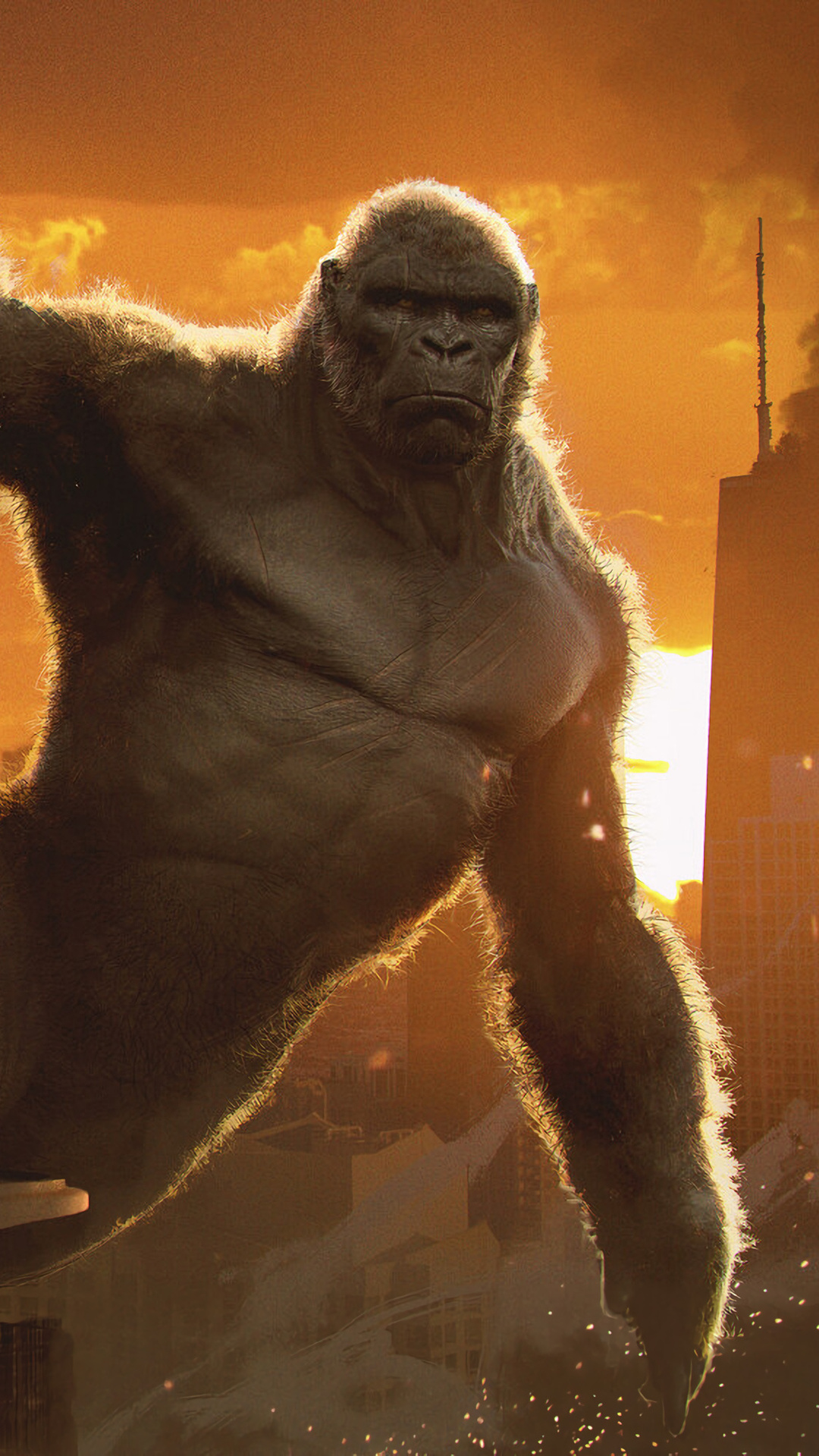 King Kong
 Wallpapers