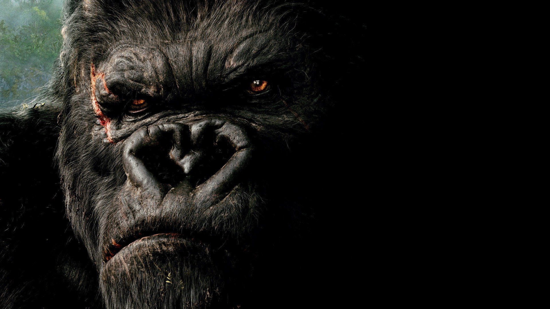 King Kong
 Wallpapers