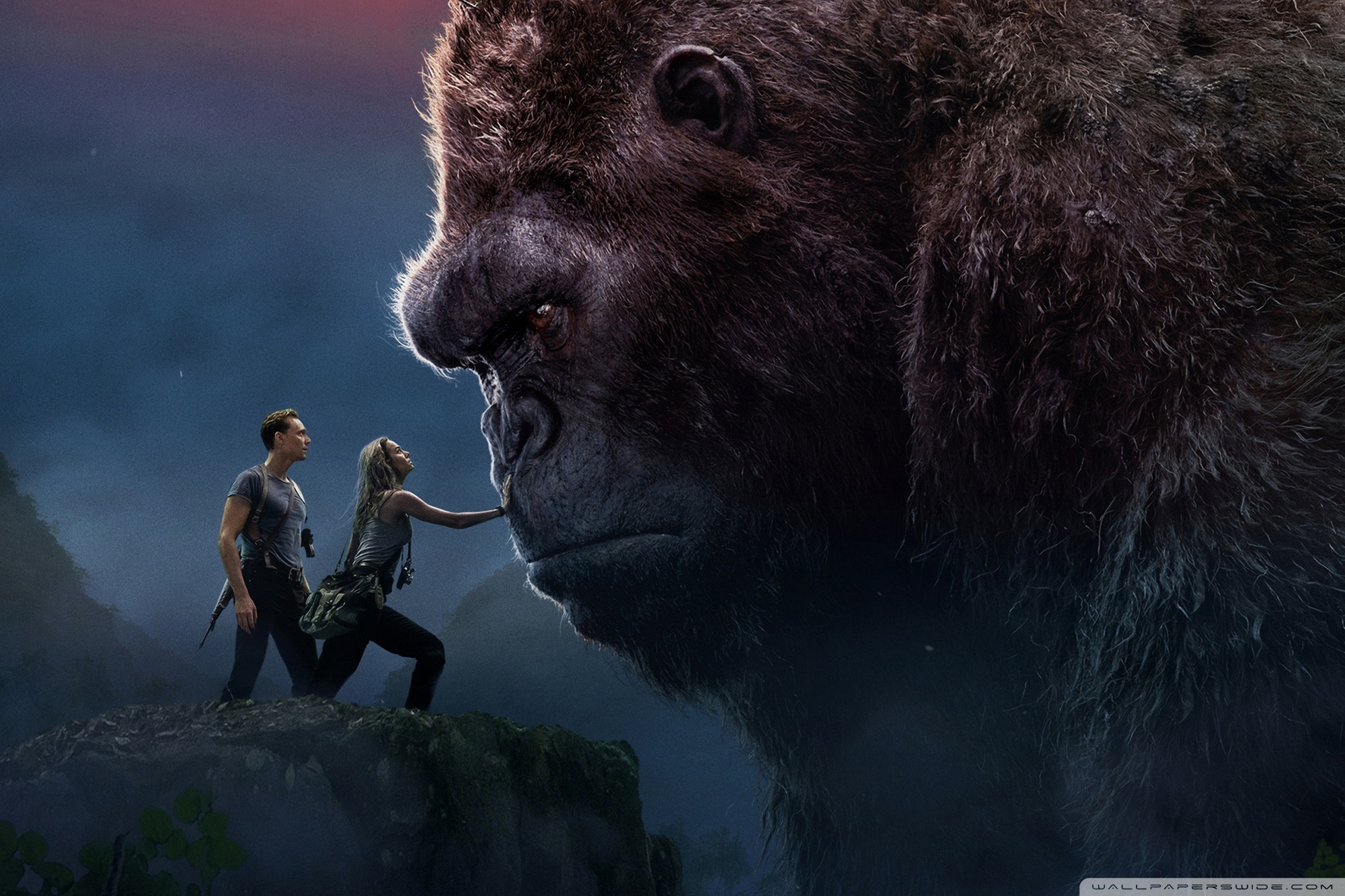 King Kong
 Wallpapers