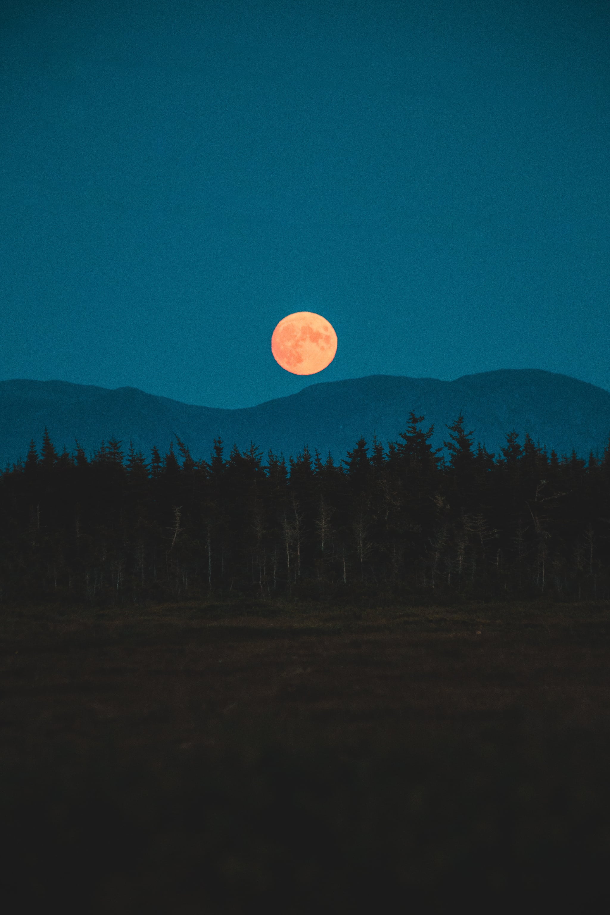 Man Watching Moon Rising Over Mountains
 Wallpapers