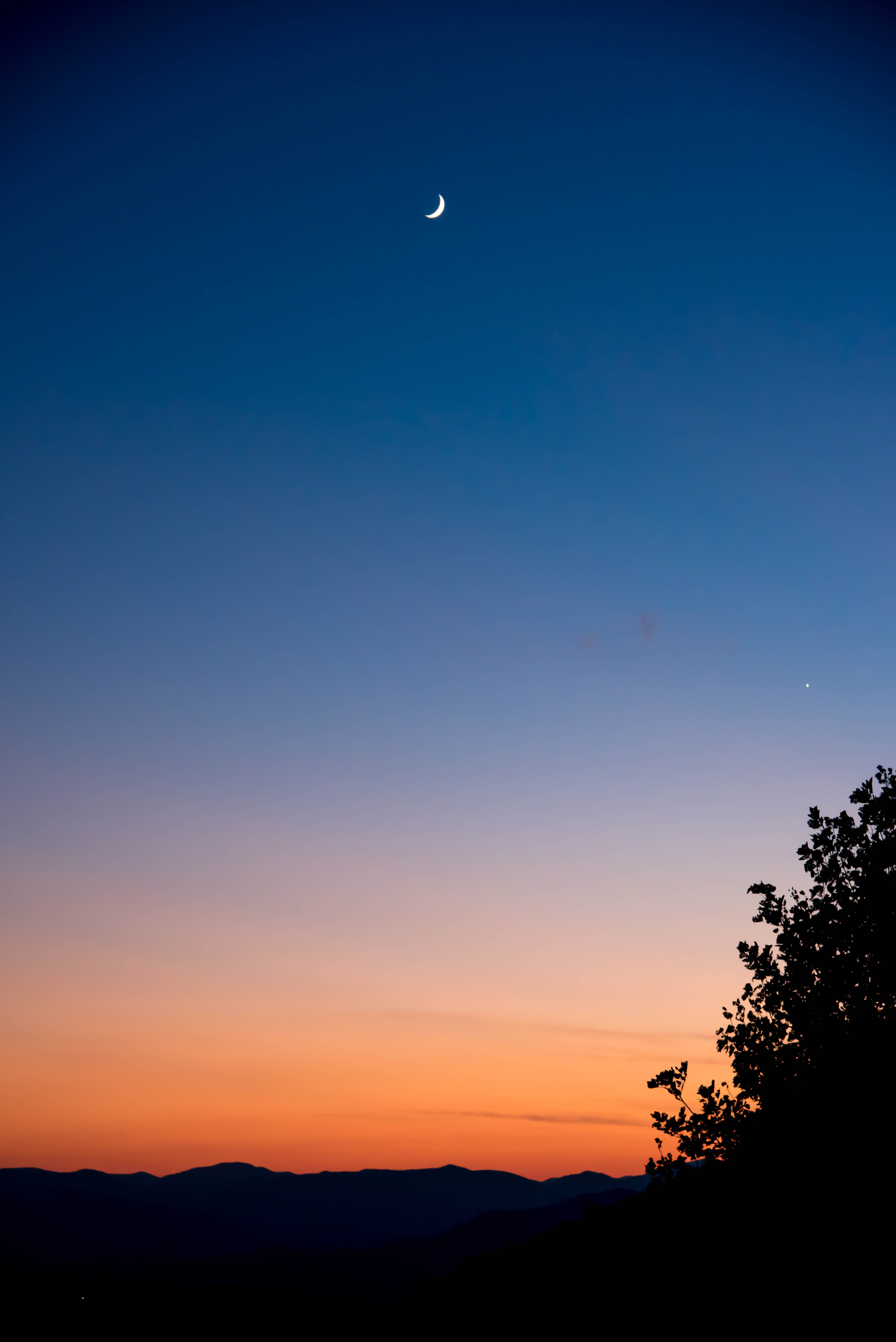 Man Watching Moon Rising Over Mountains
 Wallpapers