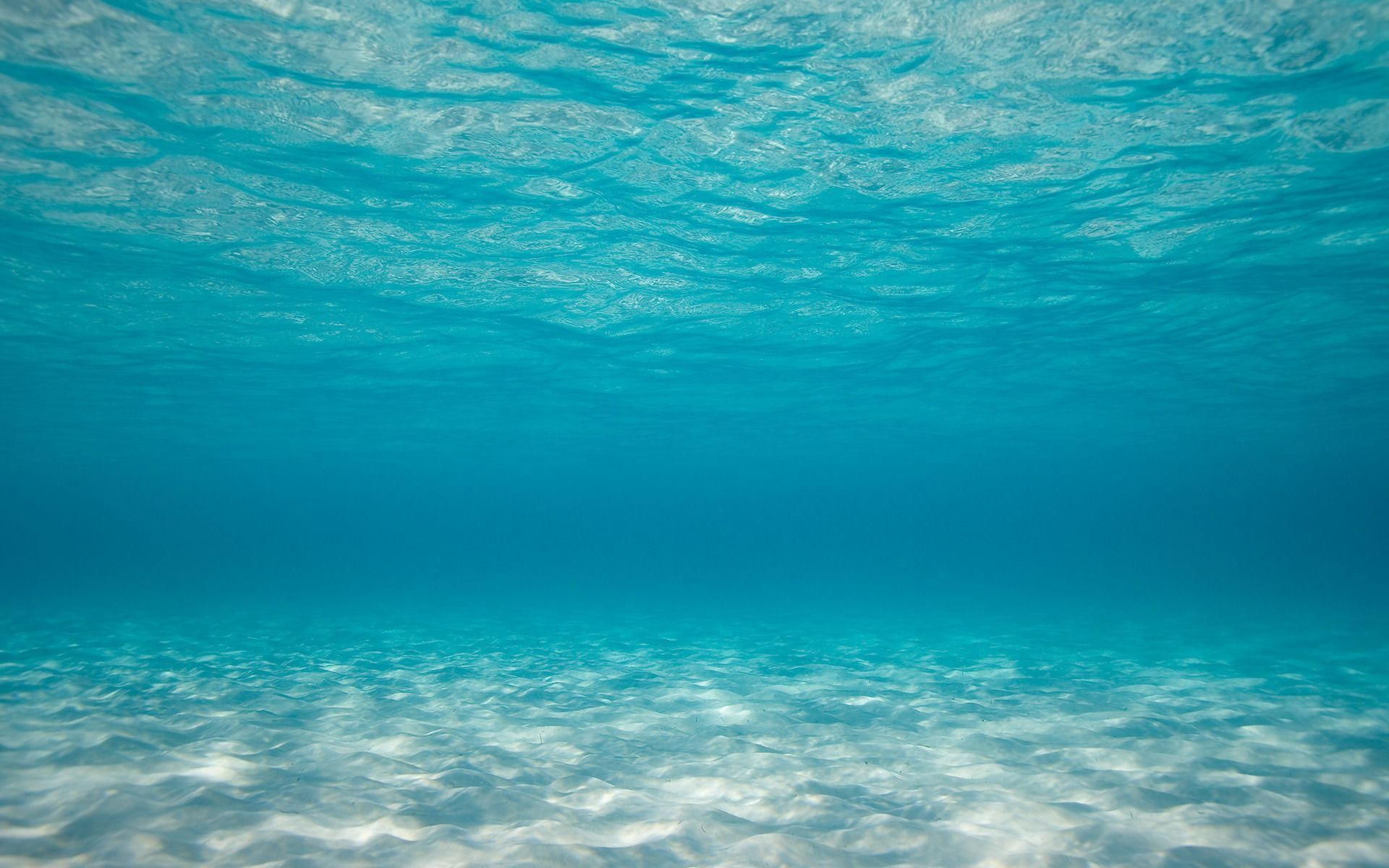 Ship And Town Underwater
 Wallpapers