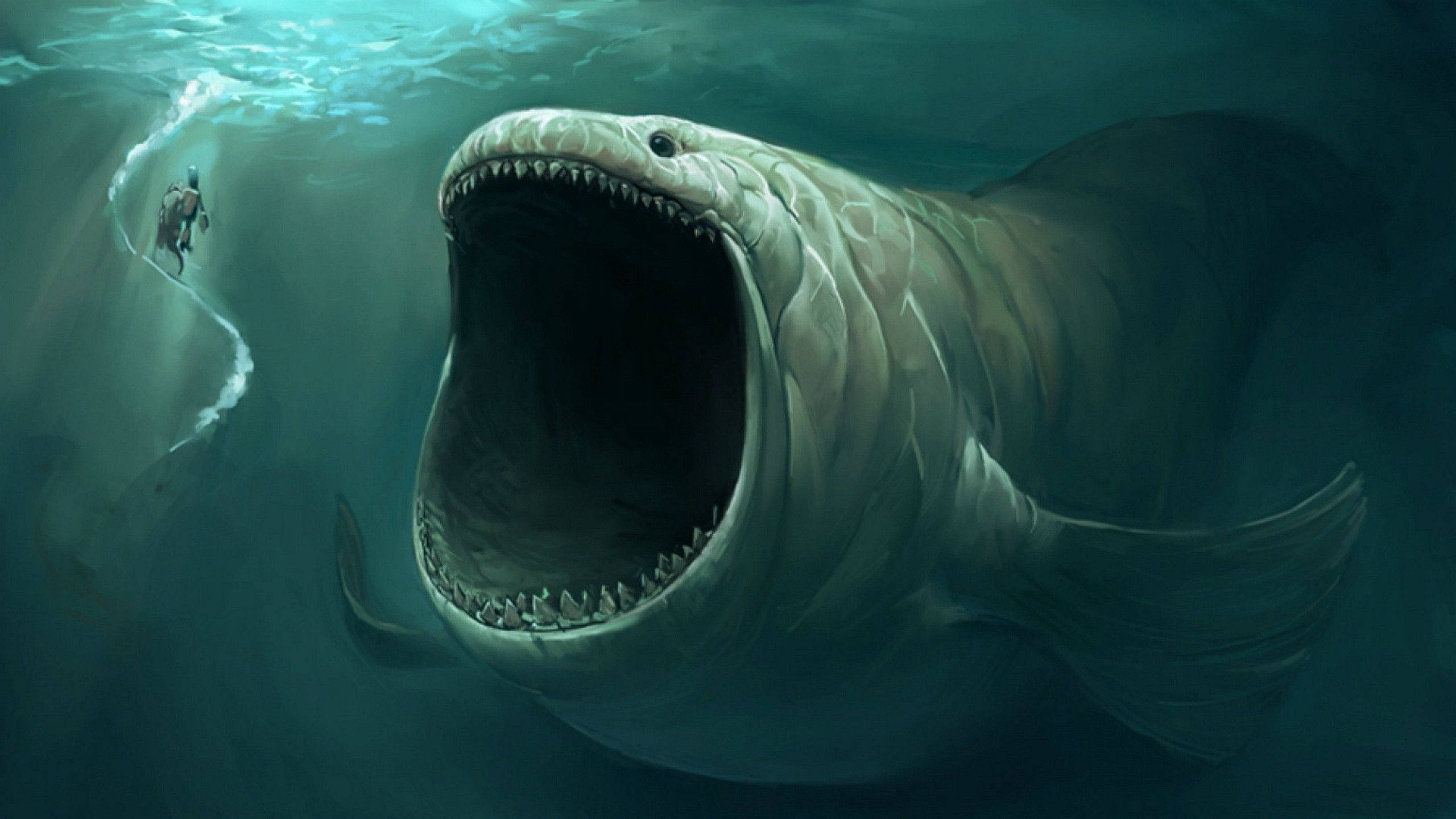 Underwater Creature
 Wallpapers