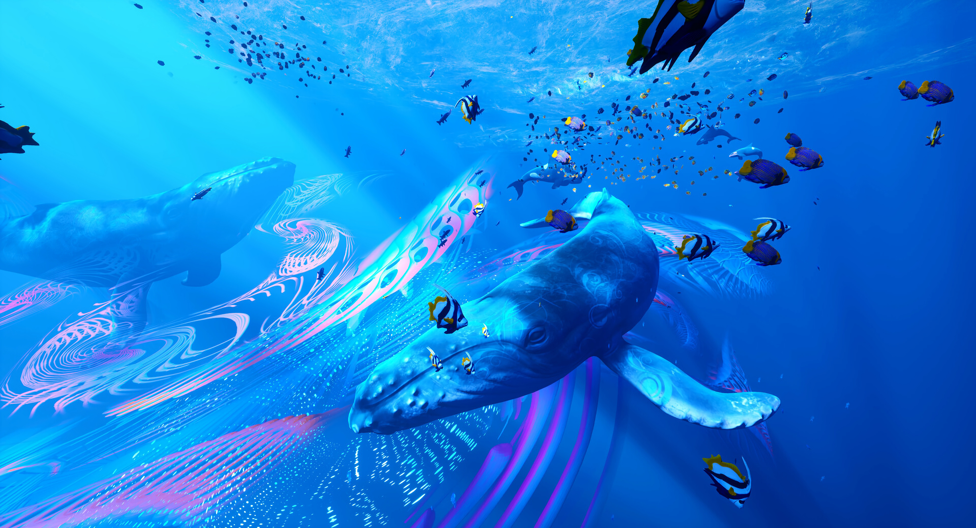 Underwater Creature
 Wallpapers