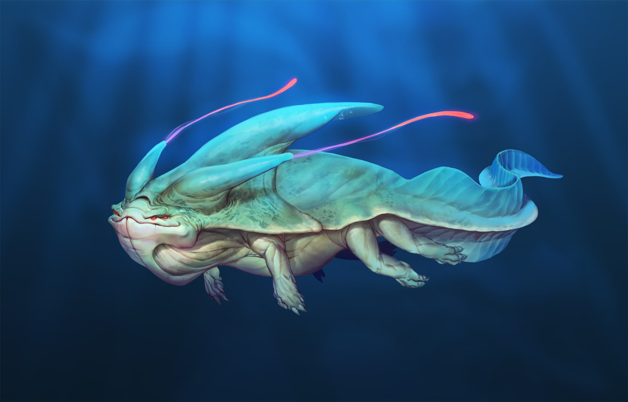 Underwater Creature
 Wallpapers