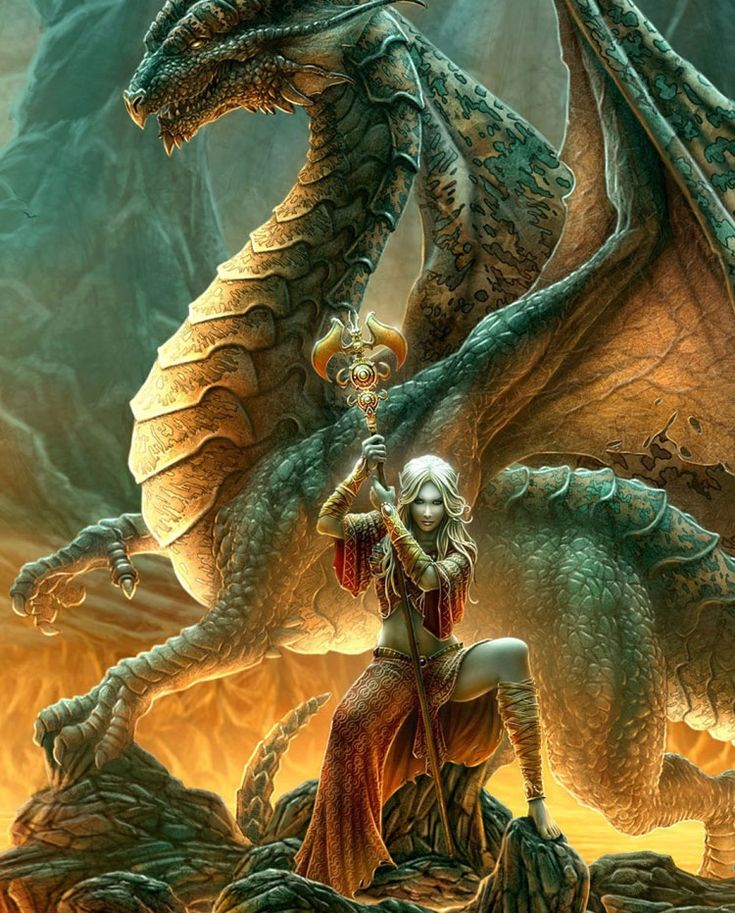 Women Warrior Vs Dragon Draw
 Wallpapers