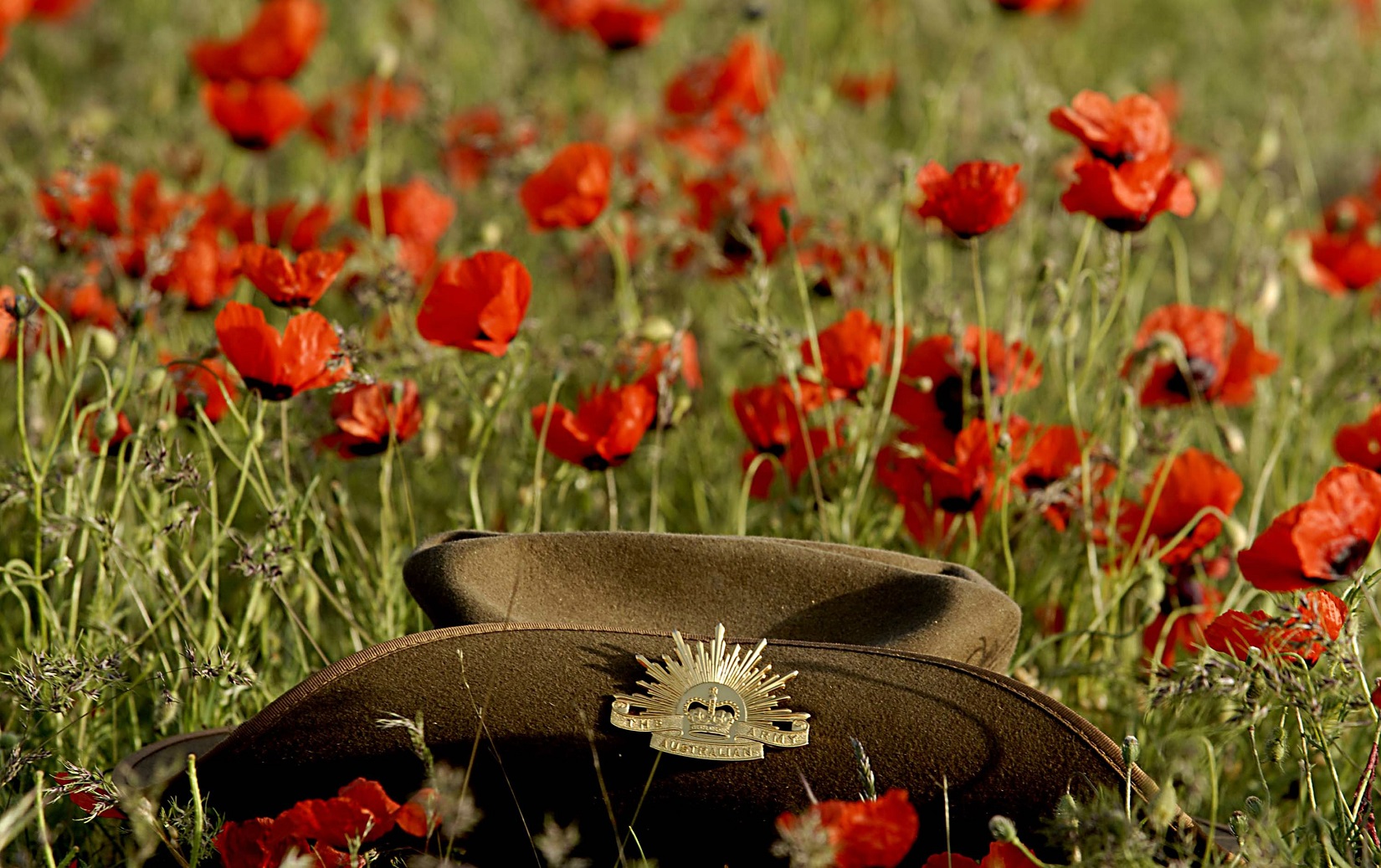 Anzac Day Wallpapers