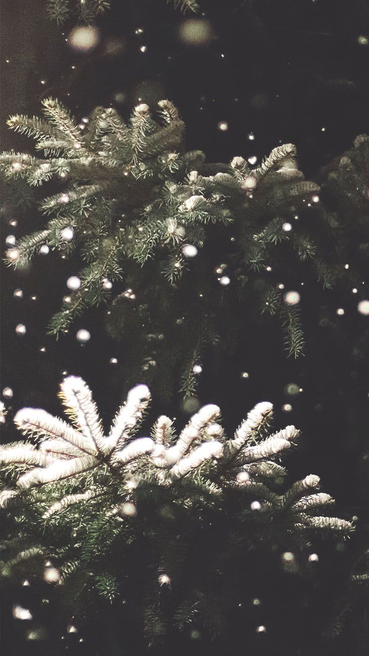 Christmas Aesthetic Tumblr Wallpapers