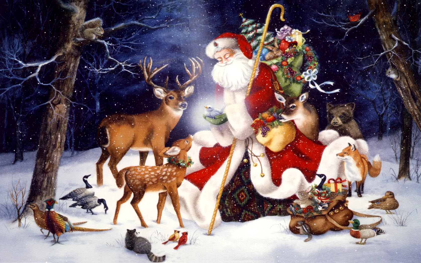 Christmas Animals Wallpapers