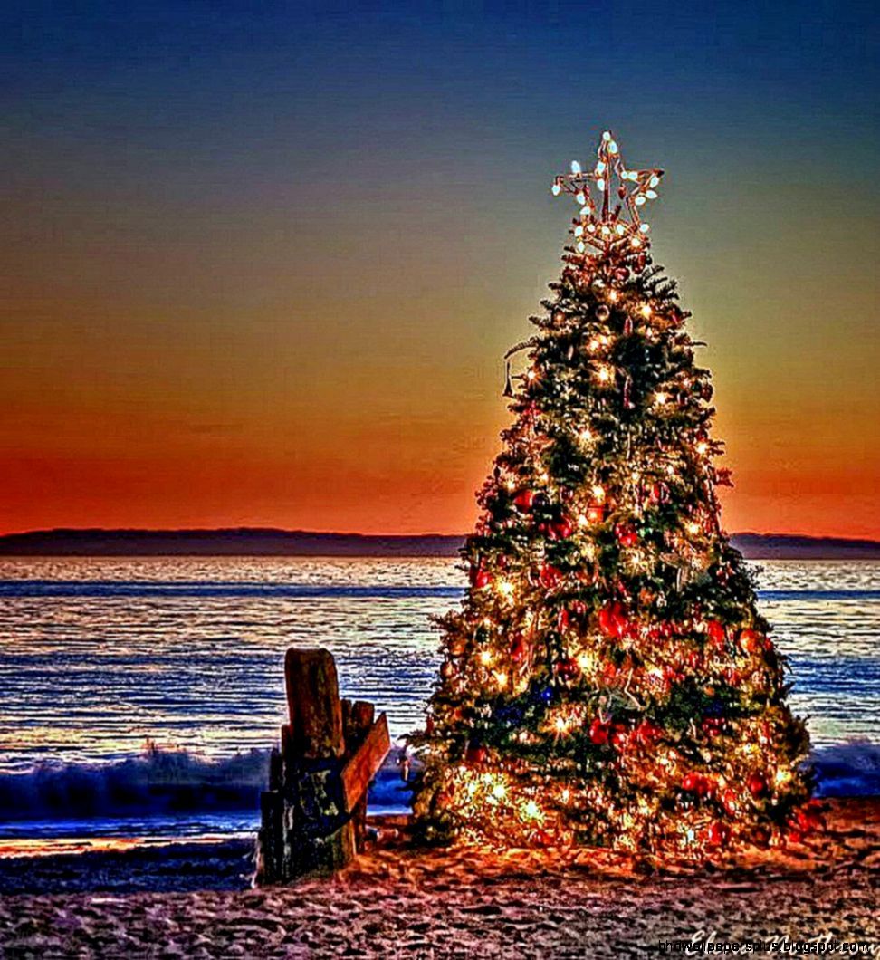 Christmas Beach Wallpapers