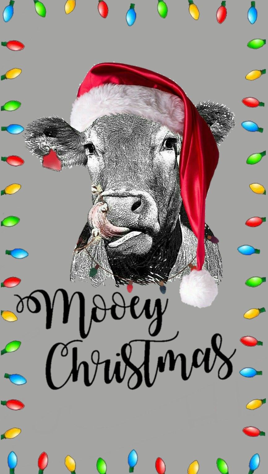 Christmas Cow Wallpapers