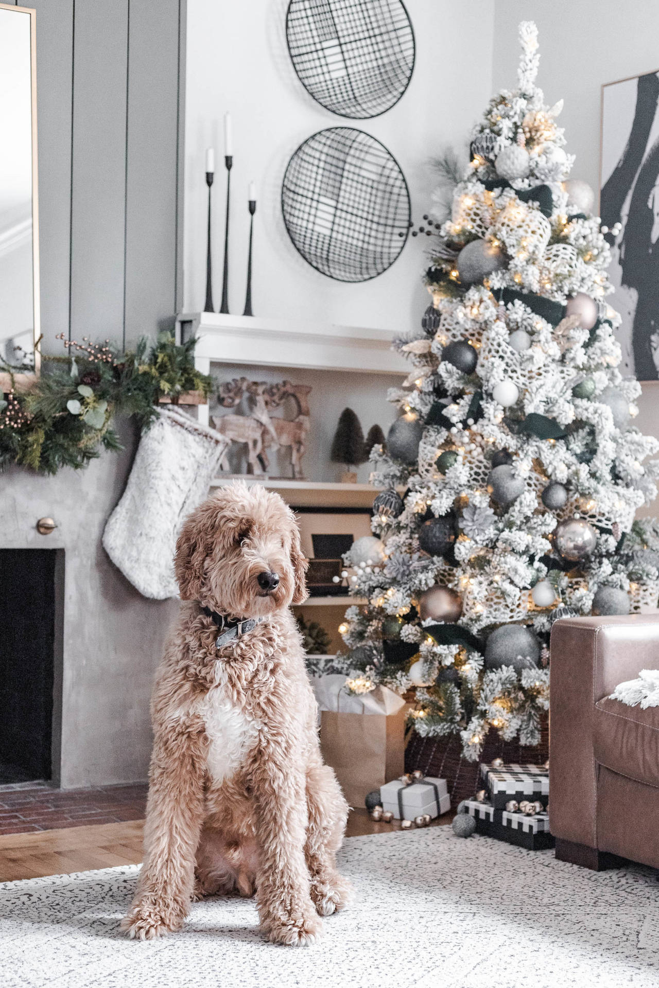 Christmas Dog Wallpapers