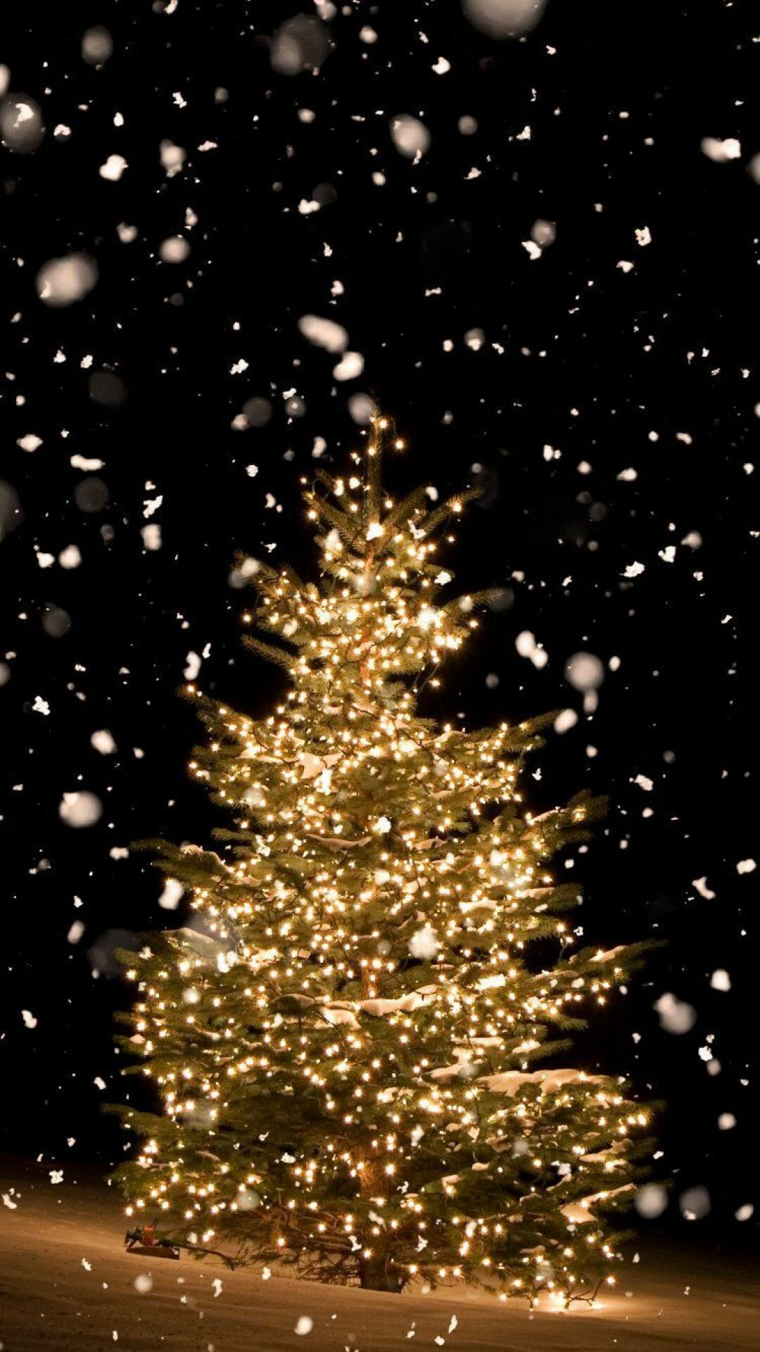 Christmas Hd Phone Wallpapers