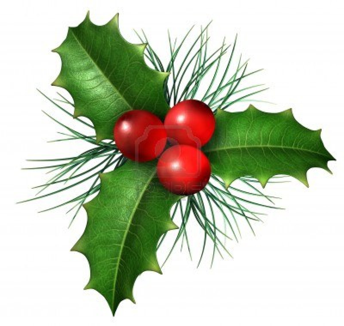 Christmas Holly Wallpapers