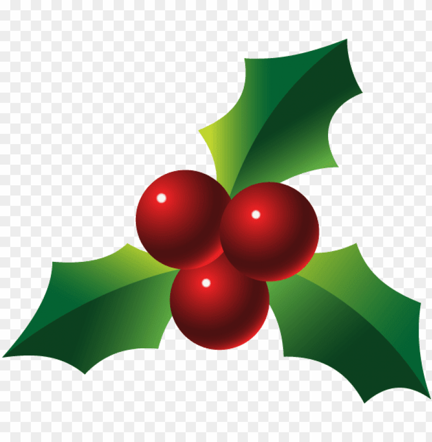 Christmas Holly Wallpapers