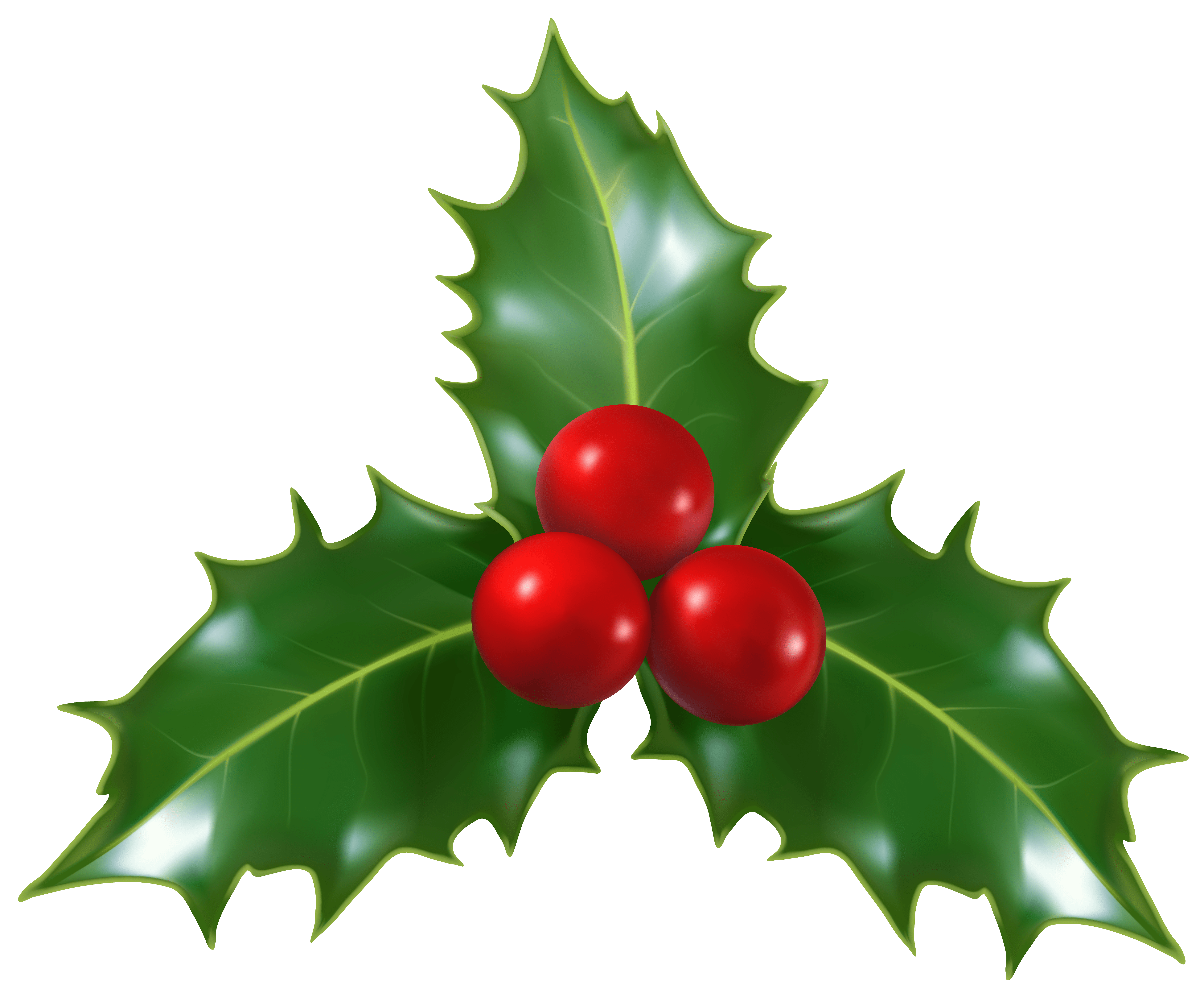 Christmas Holly Wallpapers