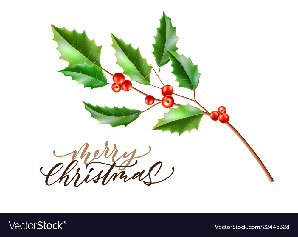 Christmas Holly Wallpapers