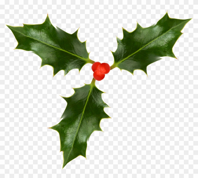 Christmas Holly Wallpapers