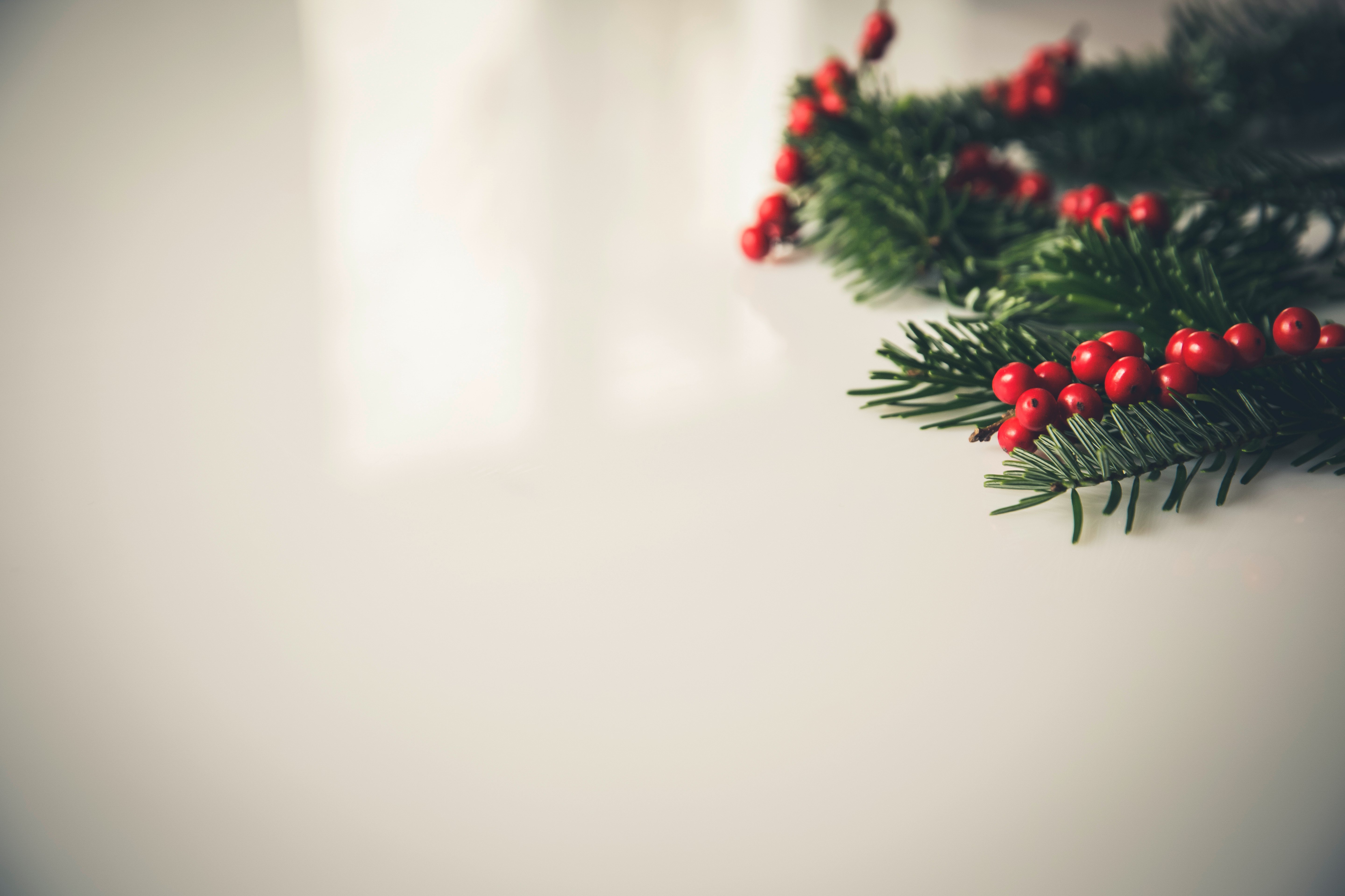 Christmas Holly Wallpapers