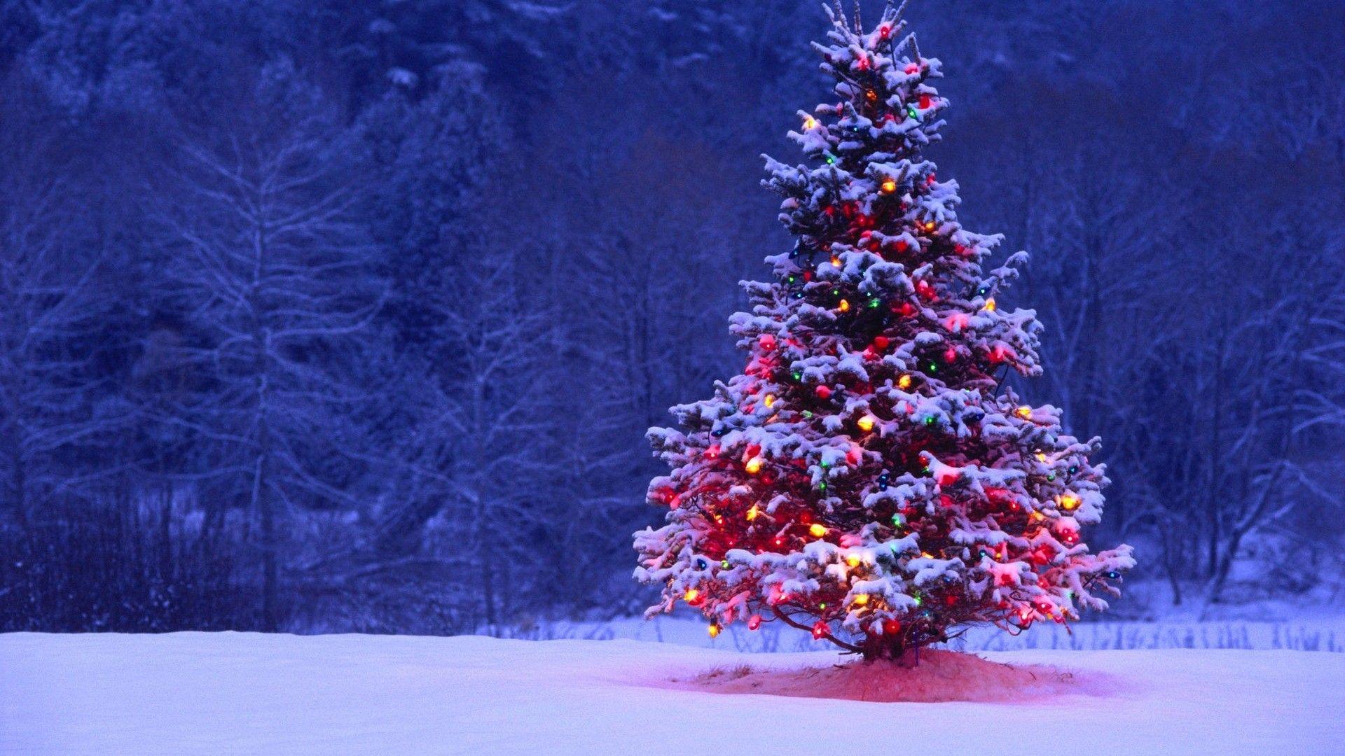 Christmas Landscape Wallpapers