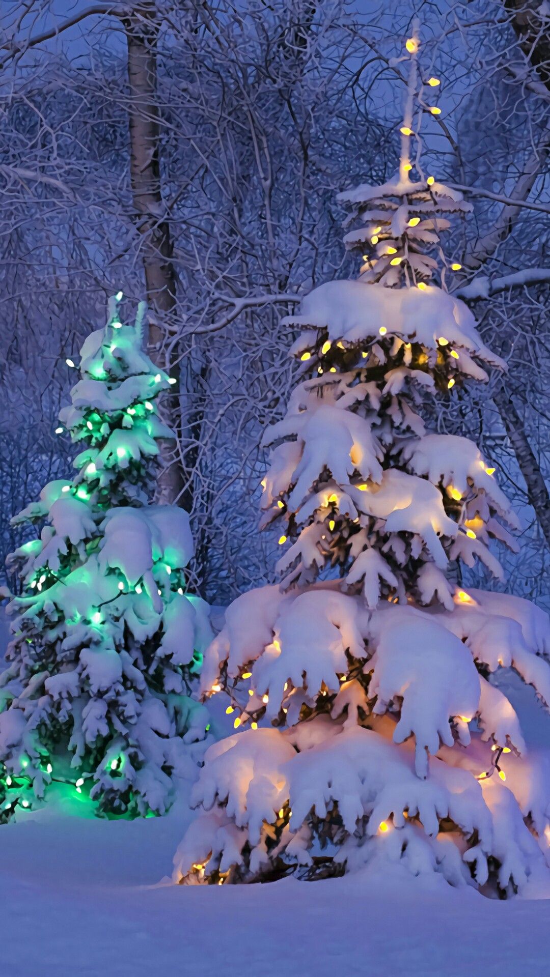 Christmas Light Snow Wallpapers