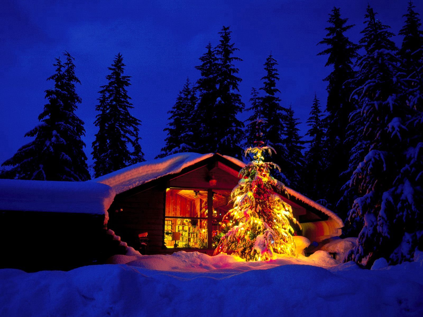 Christmas Lighted Tree Outside Winter Cabin Wallpapers