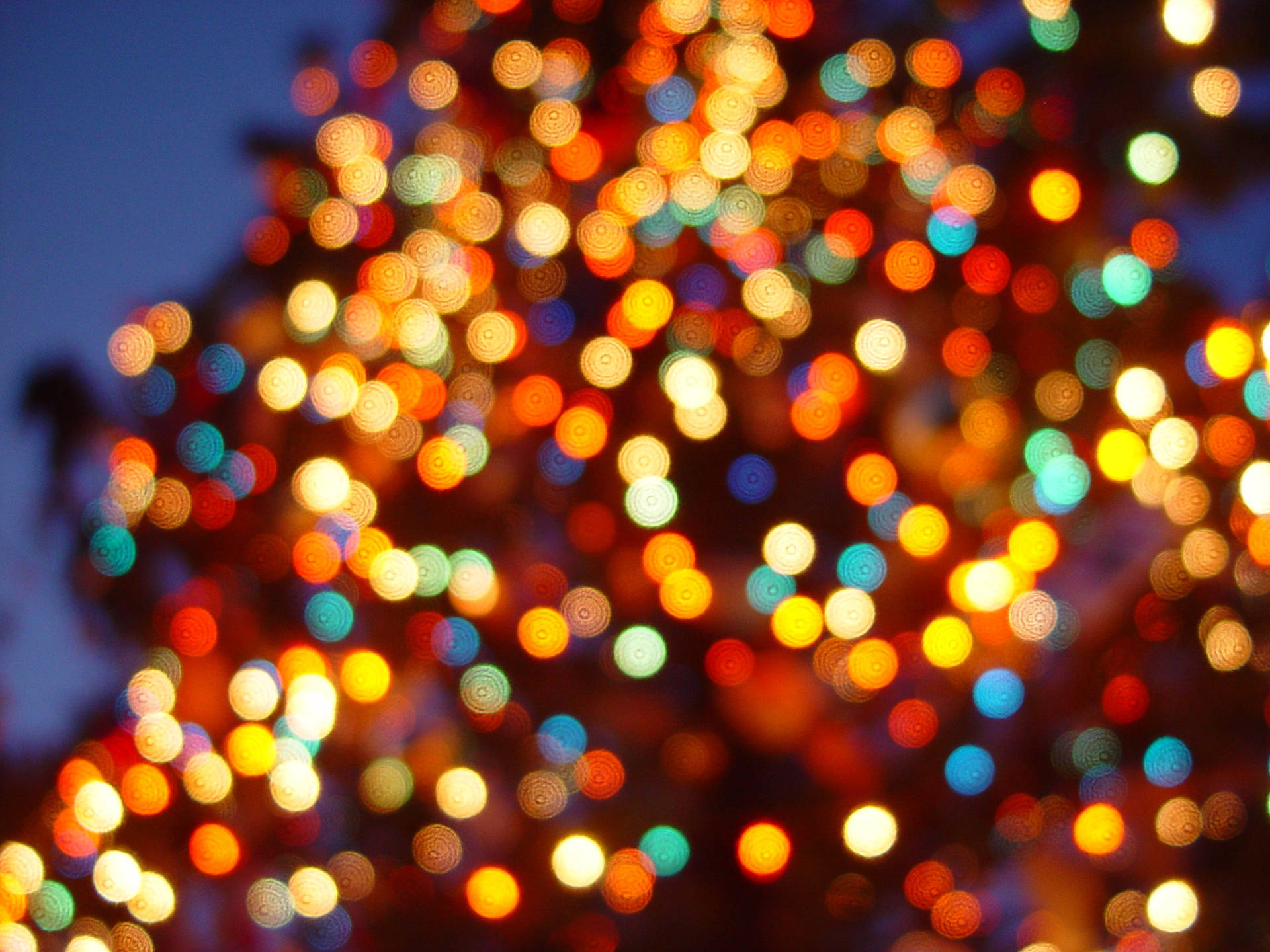 Christmas Lights Wallpapers