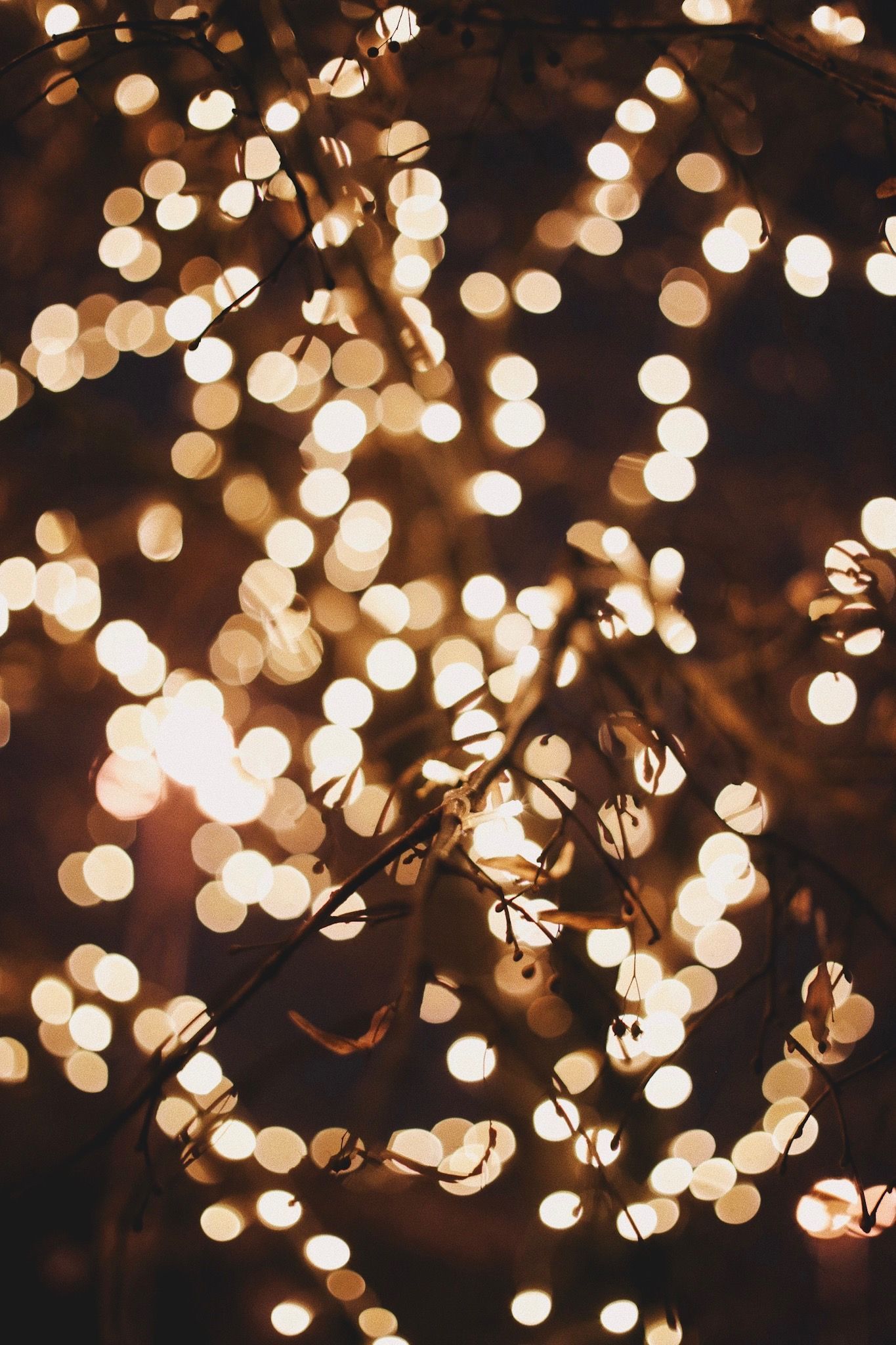 Christmas Lights Wallpapers