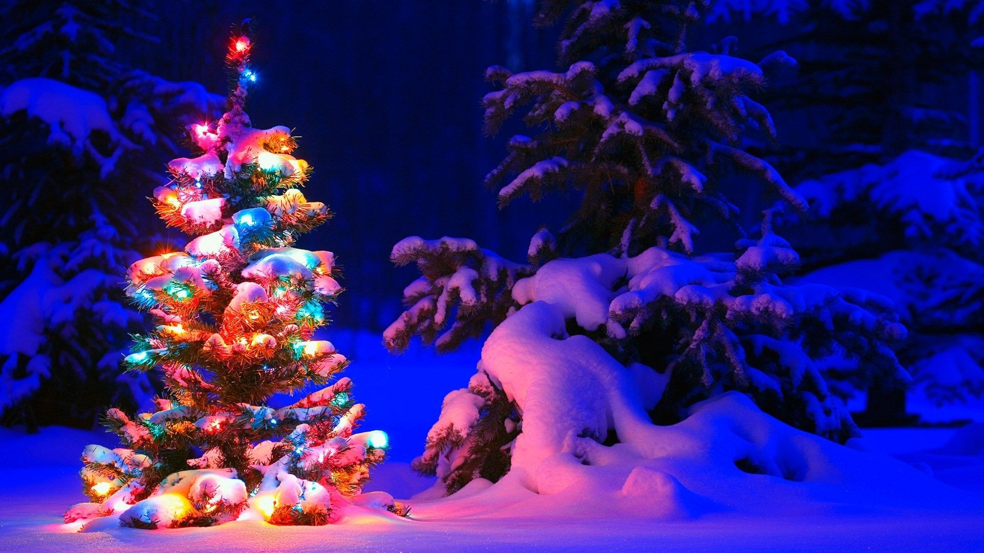 Christmas Lights Snow Wallpapers