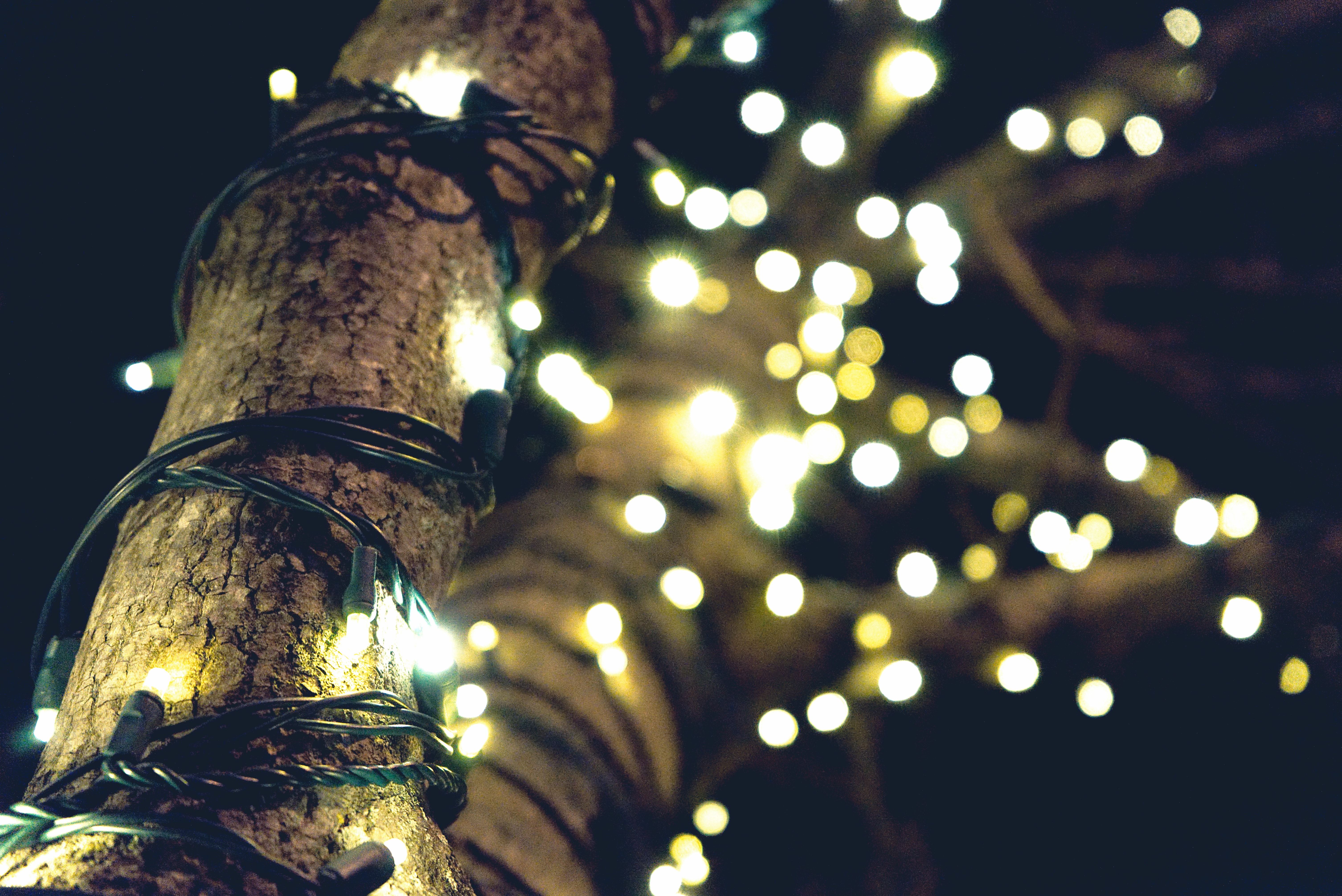 Christmas Lights Tumblr Cute Wallpapers