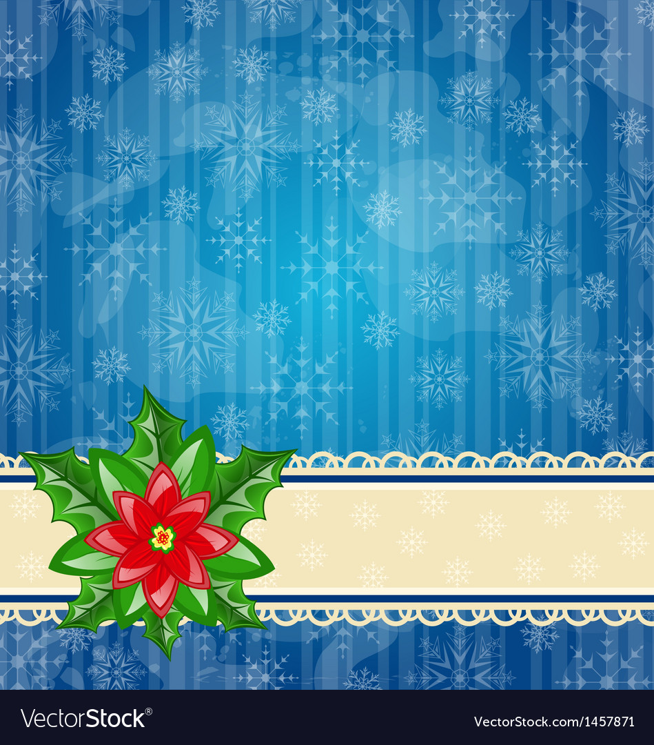 Christmas Poinsettia Wallpapers