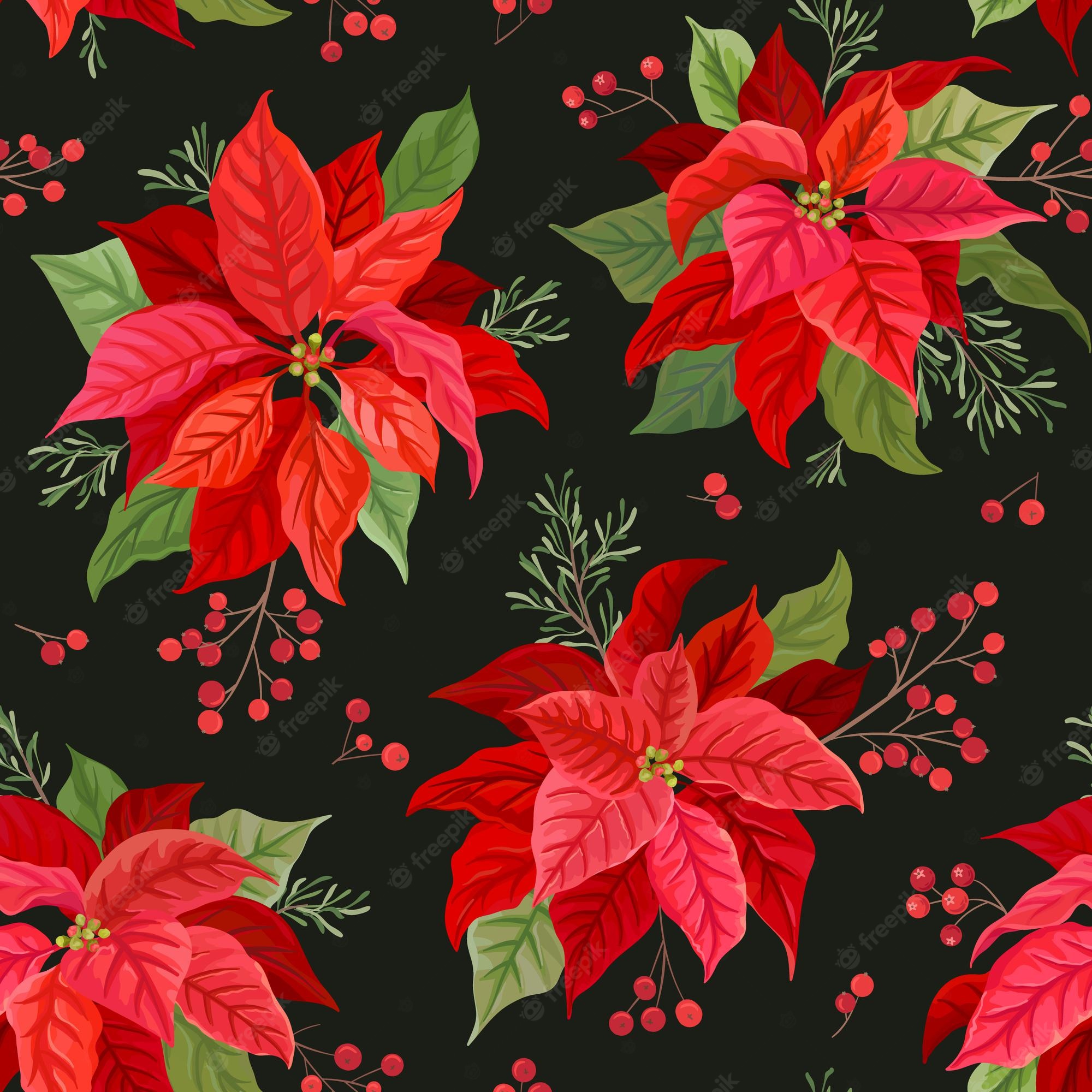 Christmas Poinsettia Wallpapers