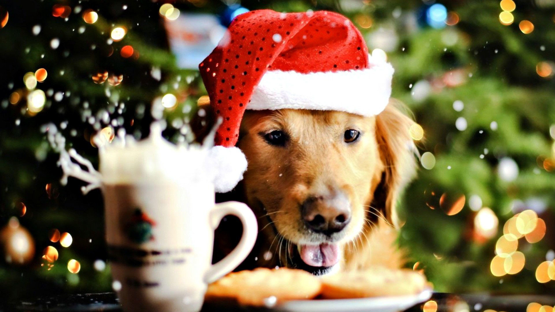 Christmas Puppies Wallpapers