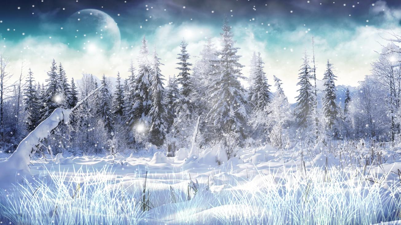 Christmas Snow Wallpapers