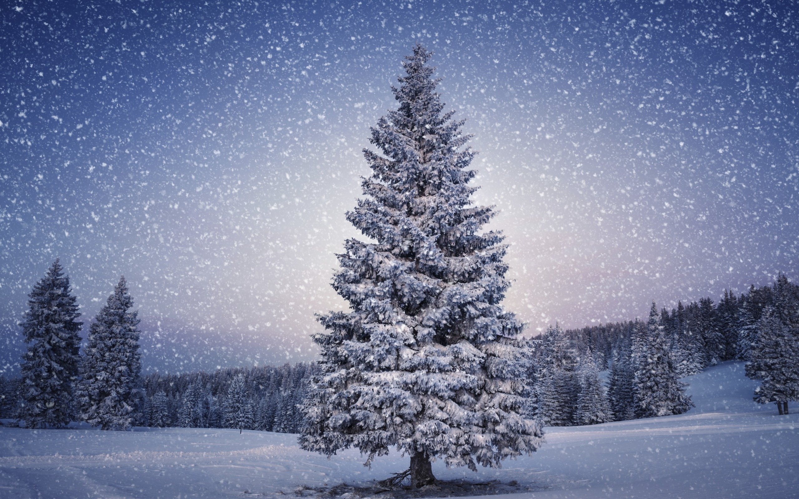 Christmas Snow Wallpapers